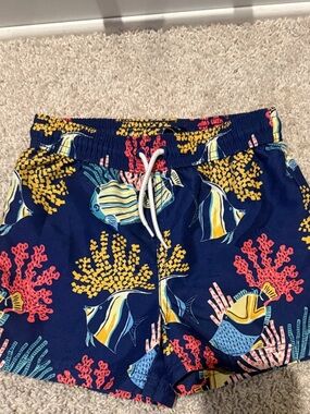 Janie and Jack boys swim size 4